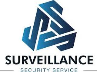 Surveillance Systems